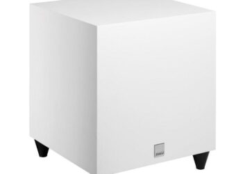 Dali julkisti pikkusubbarin – lupaa toimivan niin elokuvissa kun musiikissakin