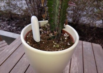 Kokeilussa: Kukkienhoitoapuri poropeukaloille