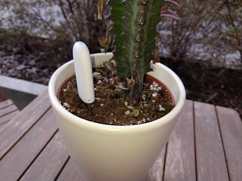 Kokeilussa: Kukkienhoitoapuri poropeukaloille