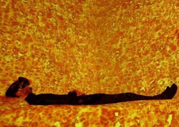 Motorola esitteli uuden sukupolven edullisesta E-sarjan älypuhelimestaan