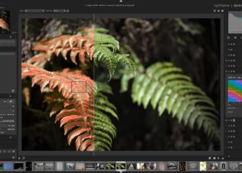 Kuvat ojennukseen ilmaisella ohjelmalla