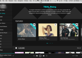 Tidal vaihtaa taas toimitusjohtajaa